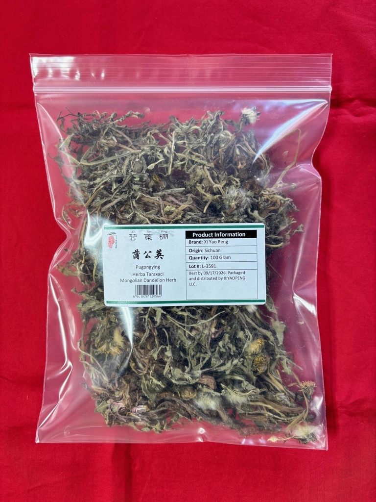 XYP Pugongying Pu Gong Ying 蒲公英 100Gram
