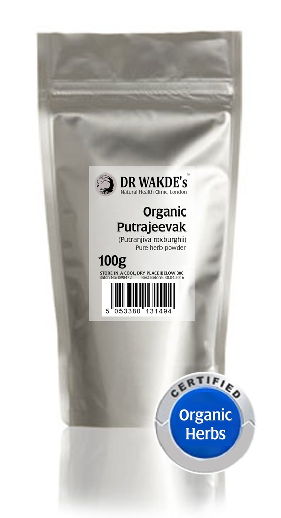 DR WAKDE's Putrajeevak Powder (Putranjiva roxburghii) - 100g (3.5oz) | Pure, Raw & Dried Powder | Natural Aroma and Freshness | Fine Powder | Vegan | Premium Grade | Nothing Added, Nothing Removed