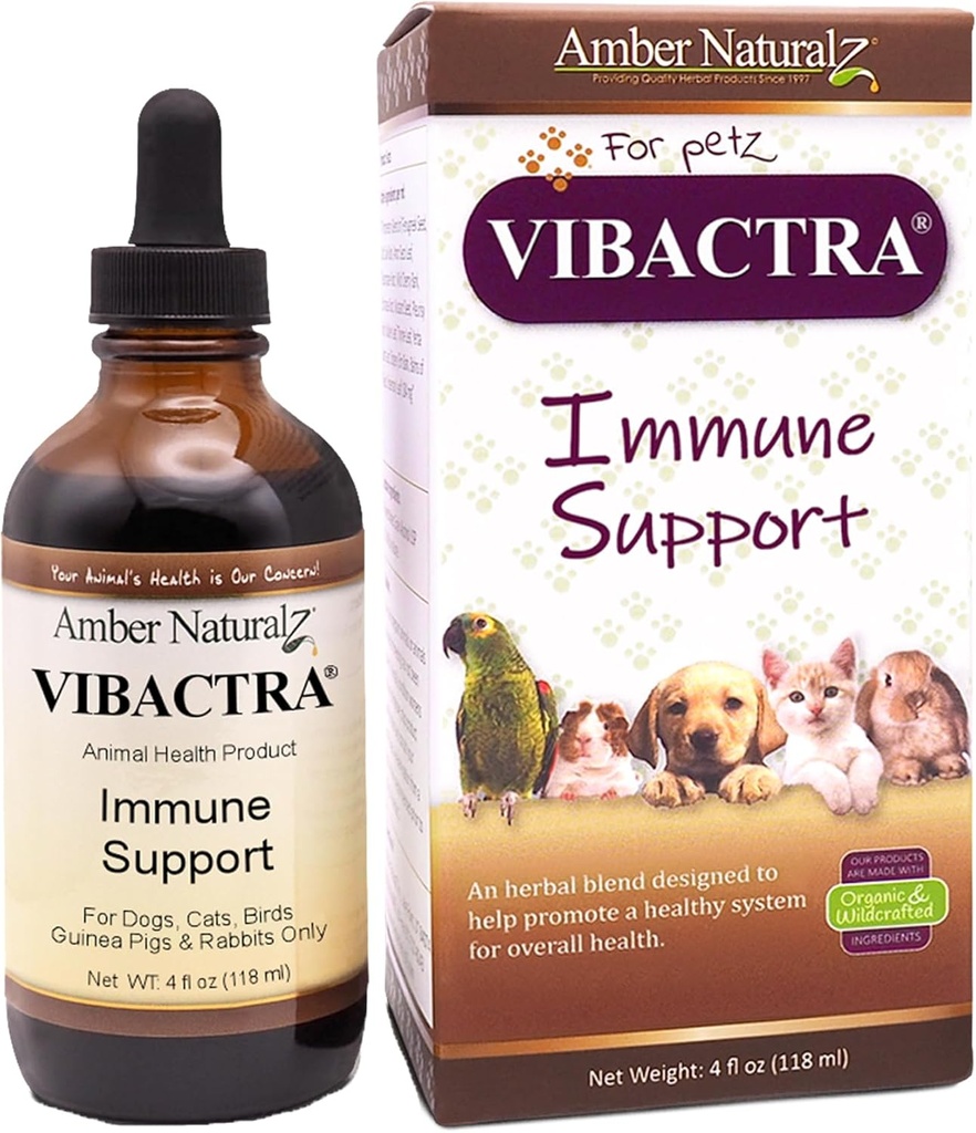 Amber NaturalZ Vibactra Immune Apoyo Herbal Suplemento para Perros, Gatos, Aves, Películas de Guinea y Conejos ← Pet Herbal Blend for General Health ← 4 Fluid Ounce Glass Bottle ← Fabricado en EE.UU.
