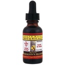 Whole World Botanicals - Royal Dragon's Blood Liquid Tree Sap 1 Fl. Oz.