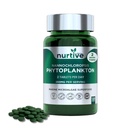 Nannochloropsis Phytoplankton Tablets – 250mg per Serving – Vegan, Gluten-Free, Non-GMO, No Fillers – Third-Party Tested, GMP Certified – 2 Tablets/Day for 2 Month, 120 Tablets/Bottle