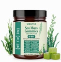 Sea Moss Gummies 16-in-1, with Black Seed Oil, Ashwagandha & Elderberry | Organic Irish Sea Moss Supplement for Men & Women | Daily Support with Manuka, Burdock Root & Vitamins C & D3, 30 Gummies