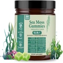 Sea Moss Gummies 16-in-1 with Black Seed Oil, Ashwagandha, 30 Servings, Irish Seamoss Gummies Boosts Immune Support, Wellness and Digestion