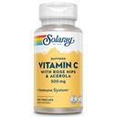 SOLARAY Buffered Vitamin C 500mg - Plus Rose HIPS and Acerola - Immune Support Supplement - Vegan, Lab Verified, 60-Day Guarantee - 100 Servings, 100 VegCaps