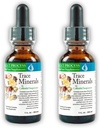 Morter Trace Minerals in Colloidal Suspension (2 Pack) Morter HealthSystem Best Process Alkaline — Nutrient Dense Trace Elements, Fulvic Minerals & Amino Acids