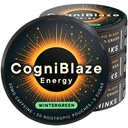Caffeine Pouches (Wintergreen) | Nootropic Energy Pouches with 50mg Caffeine, Alpha GPC, L-Tyrosine & L-Theanine | Zero Sugar | No Artificial Sweeteners | 4 Pack (80 Total)