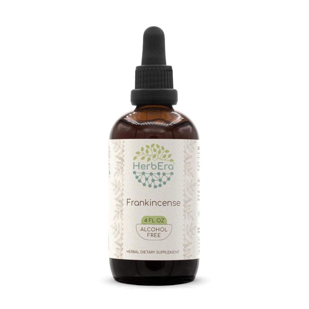 Frankincense B120 Alcohol-Free Herbal Extract Tincture, Concentrated Liquid Drops Natural Frankincense (Boswellia Resin) Dried Resin (4 fl oz)