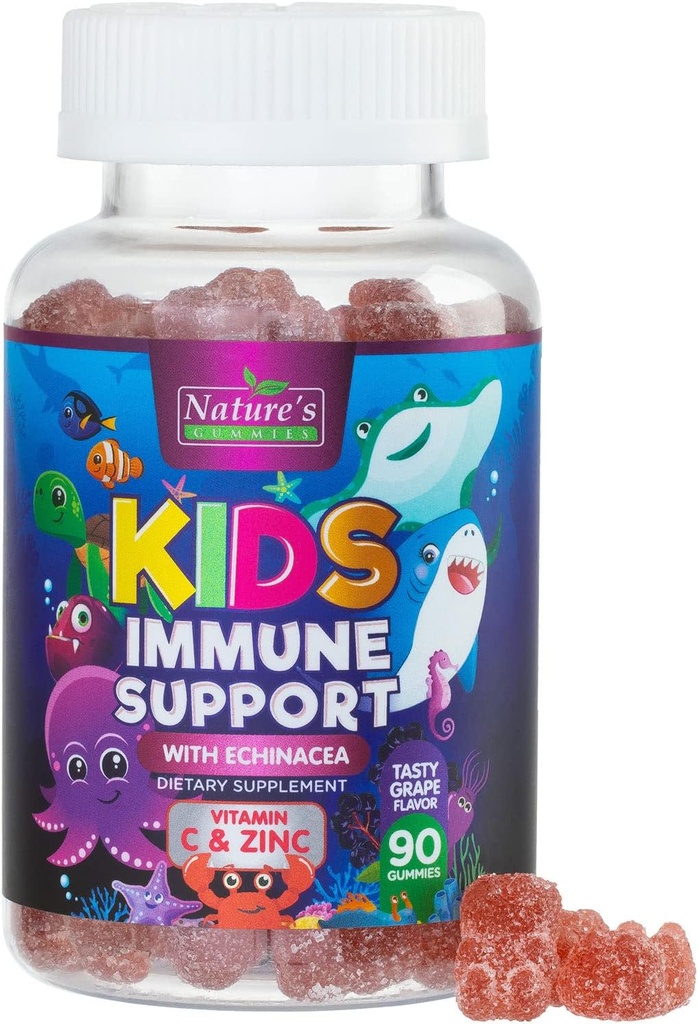 Niños de apoyo inmunológico Suplemento Gummies - Daily Childrens Vitaminas C, Zinc &amp; Echinacea - Gummy for Kids Immunity Support, Ages 4 and Up, Natural Berry Flavor, Non-GMO, Gluten-Free & Vegan - 90 Gummies