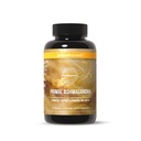Primal Harvest Ashwagandha Supplement with 5 Mushroom Extracts: Lion’s Mane, Reishi, Cordyceps, Turkey Tail & Maitake for Immune Support & Cognitive Health
