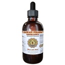 Hawaii Pharm Rehmannia Liquid Extract, Rehmannia (Rehmania Glutinosa) Tincture, Herbal Supplement, Made in USA, 4 fl.oz