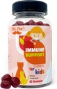 Mr. Pen Elderberry Vitamin C Zinc Gummies for Kids ← 60 Conteo Silencio 2 Mes de Suministro Silencio 4+ Años, Immune Support Gummies, Low Sugar, Non- GMO, Vegan, Gluten Free, Pectin Chews