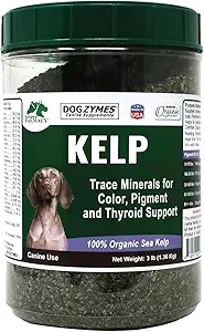 Dogzymes Kelp orgánico noruego para mascotas, una fuente de nutrición valiosa rica en yodo para soportar la función Gland, especialmente la tiroidea (3 libras)