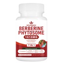 7-in-1 Berberine Phytosome with Ceylon Cinnamon, Berberine Complex Supports Metabolic, Liver Function and Immune System, Non-GMO - 60 Capsules