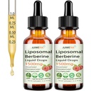 2 Pack Liposomal Berberine Supplement 1500mg, 2-in-1 Extra Strength GLP-1 Moringa Berberine Drops Support Metabolic Digestive Gut Heart Health & Vitamin Nutrients for Women Men Vegan Non-GMO