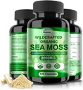 Mar irlandés Moss capsules 120ct Mar crudo Moss Wildcrafted Bladderwrack Burdock Root Capsules Super Food Immune System Digestive Health Sea Moss Pills