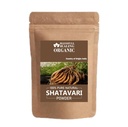Blessfull Healing Organic Shatavari Powder 100% Pure Natural 100 Gram / 3.52 oz