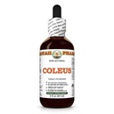 Coleus (Coleus Forskohlii) Dry Root Glycerite, Made in Hawaii, All Natural, Vegan, Lab Tested Alcohol-Free Liquid Extract - 2 fl.oz