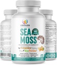 Orgánica del Mar Irlandés Moss Pills - Wildcrafted Dr Sebi Inspirado Seamoss Blend con Turmeric, Burdock Root & Bladderwrack, Mejorado con Pepper Negro - 60 cápsulas