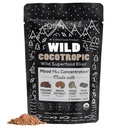 Cocotrópico orgánico Cacao Caliente - Café Mushroom Alternativa ANTE Sugar Chocolate caliente gratuito ¦ Orgánica Cocoa Powder, Reishi Mushrooms, Chaga, Maca Root, Turmeric ¦ Delicious Sustained Focus, Energy & Mood Sin Jitters ← 16oz