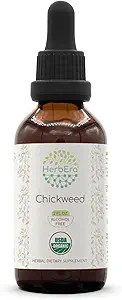 Chickweed B60 USDA Organic Tincture ← Alcohol-Free Extract, High-Potency Herbal Drops TEN Certified Organic Chickweed (Stellaria Media) Dried Herb (2 oz)