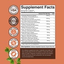 Complejo avanzado de setas cápsulas - 10X Lions Mane suplemento cápsulas con Reishi, Chaga, Maitake " Shiitake para la memoria de salud cerebral " Focus - Nootropic for Mental Clarity - 30 caps