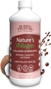 Tesoro enterrado Volágen de la Naturaleza – 2000mg Complejo Volágen, Esquí, Pelo y Salud Conjunta, 100% Planta-Basada, Libre de gluten, Libre de soya, Libre de lácteos, Chocolate Mocha Flavor, 16oz Liquid