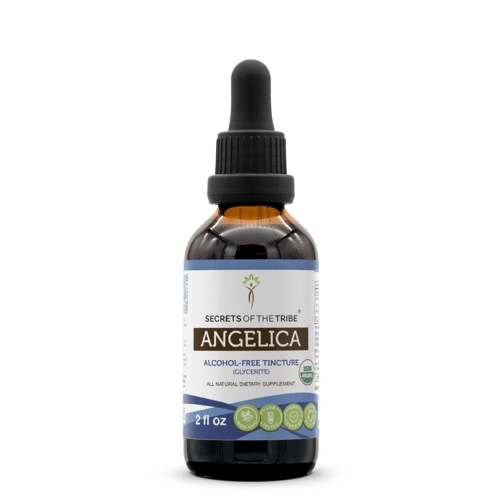 Secrets of the Tribe Angelica USDA Organic | Alcohol-Free Extract, High-Potency Herbal Drops | Made from 100% Certified Organic Angelica archangelica Dried Root (2 oz)