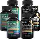 Boysea. Shilajit y Sea Moss Bundle- 90 Count - Sea Moss, Black Seed Oil, Ashwagandha, Ginger & Shilajit, Rhodiola Rosea, All in 1 Supplements (3 Pc)