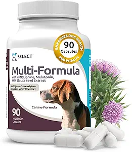 K9 Select Multi-Formula Dog Vitamins for Medium Dogs - 20mg HMR Lignans, 2mg Melatonin, 40mg Milk Thistle - Helps Heart, Liver, Digestion & Coat Health, Dog Multivitamin, 90 Capsules