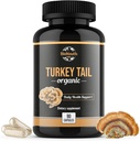 Orgánica Turquía Tail Mushroom Capsules Fruiting Body Extract ← GMO & Allergen-Free, Coriolus Versicolor Daily Herbs, 90 cápsulas