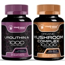 WELLNESS LABSRX Liposomal Urolithin A Capsules - Mushroom Supplement Capsules | Bundle