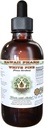 White Pine Alcohol-Free Liquid Extract, White Pine (Pinus Strobus) Dried Bark Glycerite Natural Herbal Suplemento, Hawaii Pharm, USA 4 fl.oz