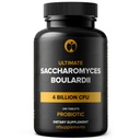 Saccharomyces Boulardii Probiotic Supplement 4 Billion CFU 240 Tablets Probiotics for Men & Women Supports Digestive & Gut Health Vegan Friendly Gluten Free Non-GMO (240, Saccharomyces Boulardii)