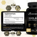 Shilajit Capsules 20,000mg – Puro Himalayan Shilajit para Hombres y Mujeres – Suplemento de ácido Fulvico Orgánico con 85+ Minerales de Traza – Energía Natural de Alta Potencia Apoyo Vital – 120 cápsulas Veganas