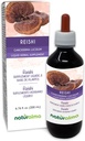 Naturalma Reishi (Ganoderma lucidum) Fungus o Mushroom Alcohol-Free Tintura - 6.76 fl oz Liquid Extract in Drops - Herbal Supplement - Vegan