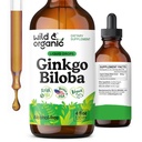 Wild & Organic Ginkgo Biloba Extract Drops - Brain & Focus Support - Liquid Ginkgo Biloba Supplements - Vegan, Sugar & Alcohol-Free Herbal Tincture - 4 fl oz