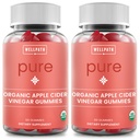 WellPath Pure ACV Gummies (2 Pack) - Apple Cider Vinegar with Mother - USDA Organic Gummy with Ginger for Gut Health | Vegan, Non-GMO, 120 Ct