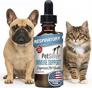 PetSilver Immune Support - Promueve la Salud Respiratoria en Cats & Dogs, Sinus & Kennel Cough Treatment, Natural Antibiótico, Alivio de Alergia, Fórmula de Plata Chelated, Easy-to-Use Dropper, USA - 2 fl oz