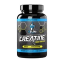 eFlow Creatine Capsules, HCL Creatine Pills - Creatine Supplement for Men & Women, Muscle Builder, Endurance, Strength, with AstraGin and Senactiv (1500mg, 90 Capsules)
