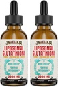Liposomal Glutathione Liquid 2000MG – Antioxidante Detox Suplemento para Mujeres &amp; Hombres, Defensa del envejecimiento, Función del hígado &amp; Energía, con ácido hialurónico + Aloe Vera + Vitamina C, Natural &amp; Vegan, 4 FL.OZ