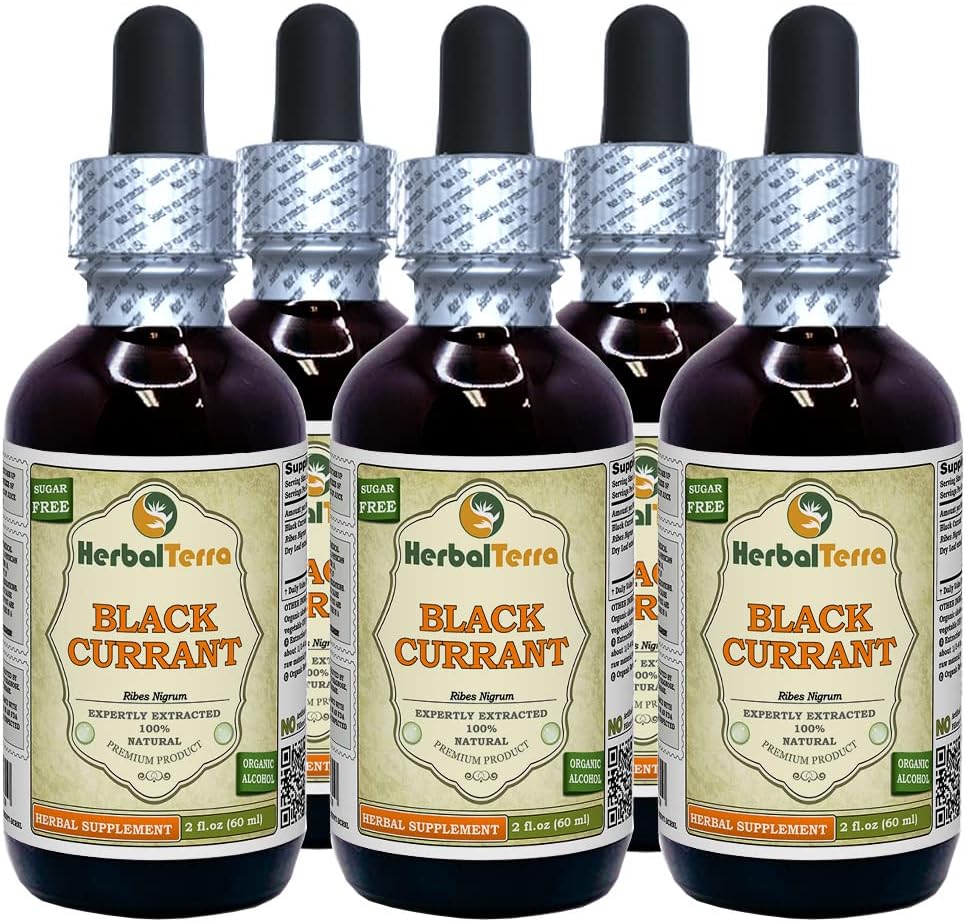 Currante Negro (Ribes nigrum) Tintura, hojas secas Extracto líquido (Marca: HerbalTerra, Proudly Made in USA) 5x2 fl.oz (5x60 ml)