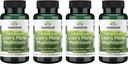 Swanson Full Spectrum Lion's Mane Mushroom - Brain Health Supplement to Support Memory, Focus & Clarity* - May Also Aid Immune, Heart & Digestive Health - Gluten-Free < Non-GMO - 60 cápsulas (4 Pack)