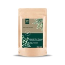 Blessfull Healing Guduchi Dry Extract(Tinospora Cordifolia) Powder 100% Pure Natural 100 Gram / 3.52 oz