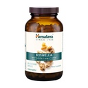 Himalaya Boswellia, Joint Support for Mobility and Flexibility, Promotes Tissue Preservation, 250 mg, 240 Capsules