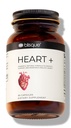 Blisque – Natural Blood Pressure Support Suplemento para la salud y la circulación del corazón ← Doctor-Aprobado Silencio con 200 mg CoQ10, Hawthorn Berry, Beet Root, Turmeric TEN 90 cápsulas