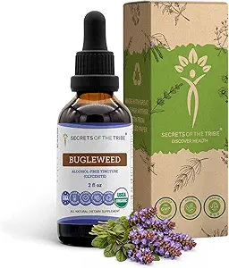Bugleweed USDA Orgánica ← Extracto de alcohol-FREE, gotas herbales de alta potencia, sistema respiratorio  Hecho de 100% Certified Organic Bugleweed (Ze Lan, Lycopus Virginicus) Herb seco 2 oz