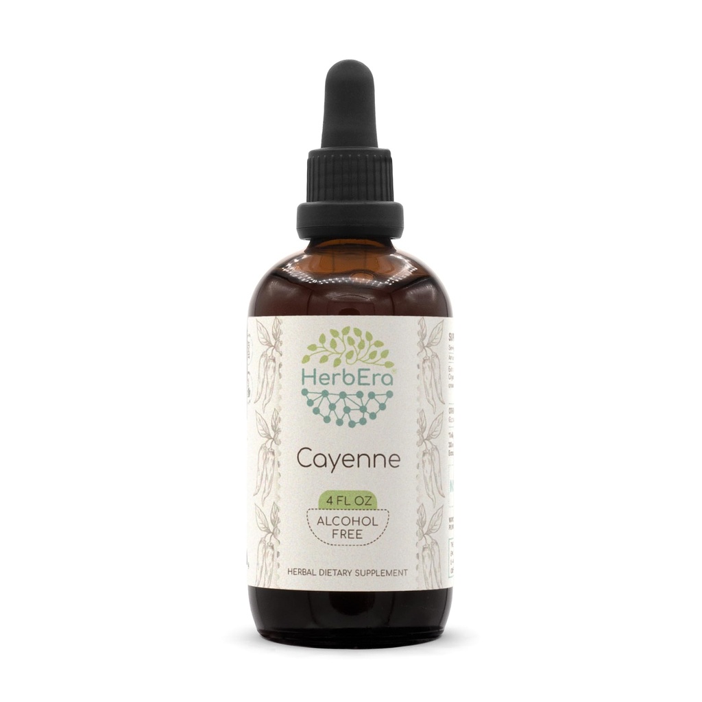 HerbEra Cayenne B120 Alcohol-Free Herbal Extract Tincture, Concentrated Liquid Drops Natural Cayenne (Capsicum annuum) 4 fl oz