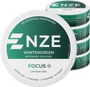 NZE Caffeine Free Nootropic Pouches (Wintergreen) - Nootropic Pouches with Alpha GPC, L-Tyrosine &amp; L-Theanine - No Sugar or Artificial Sweeteners - 15 Pouches Por Can - 5 Pack
