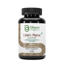 Lions Mane Mushroom Cognition (60 Capsules) Lions Mane Mushroom Powder Extract Capsules | Brain Supplement, Brain Vitamins, Focus Supplement