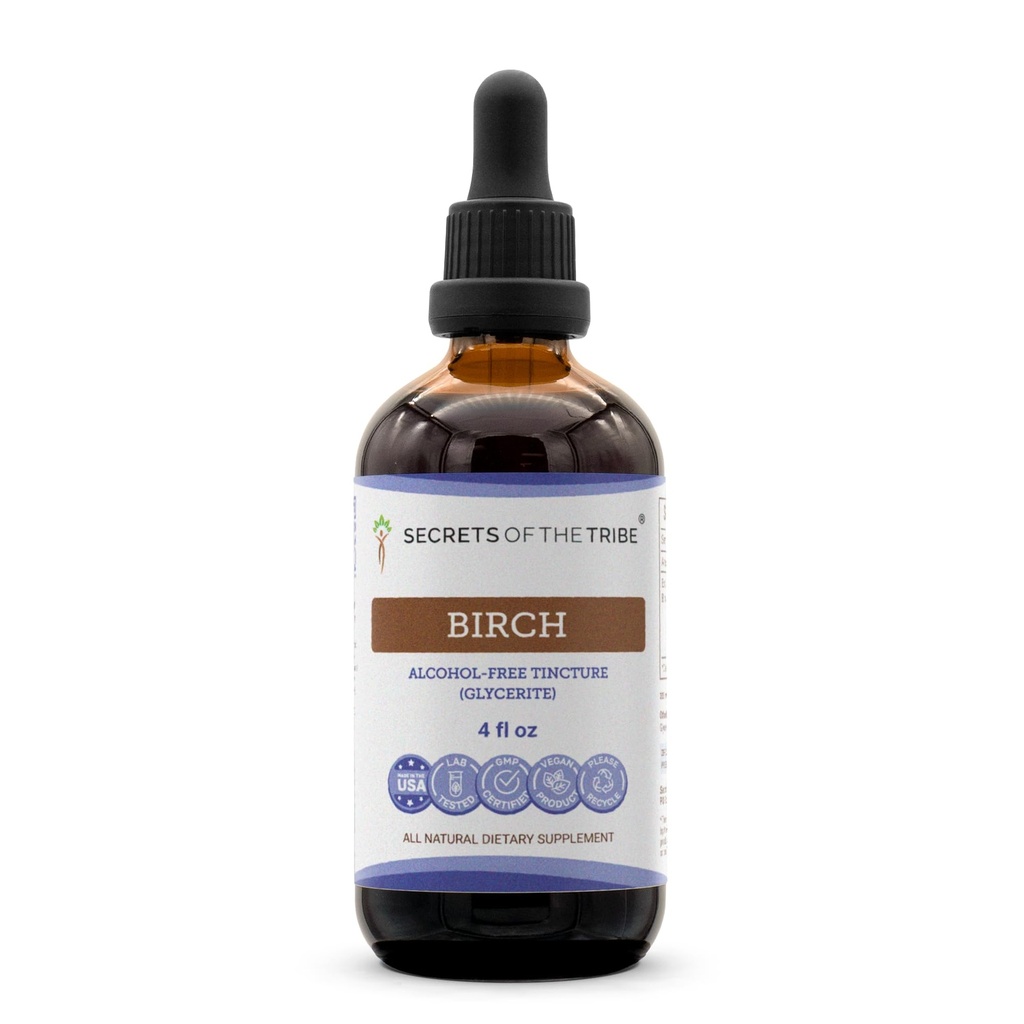 Secrets of the Tribe Birch Tincture Alcohol-Free Liquid Extract, Birch (Betula Pendula) Dried Leaf (4 FL OZ)